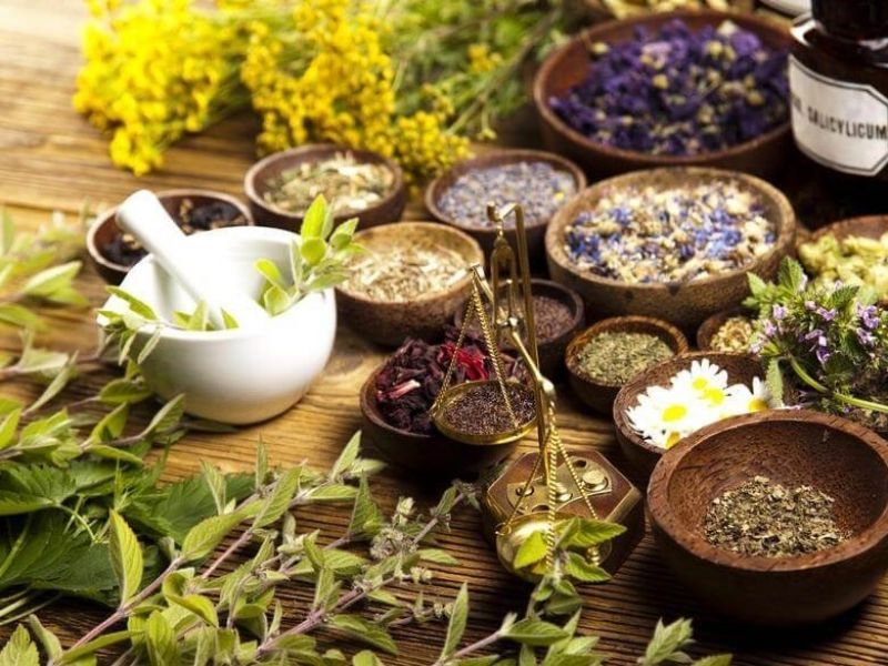 6 plantas medicinales que cuidan tus ojos - Foto 1